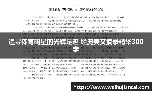 芒果体育